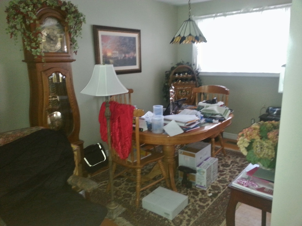 dining-room-before (1024x768)