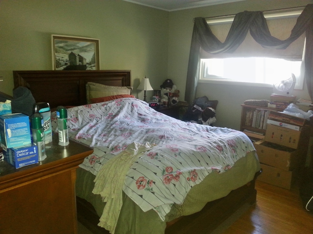 Master Bedroom Before Realty Difference Staging