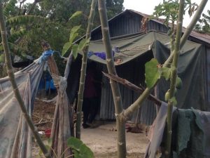 haitian home, blog